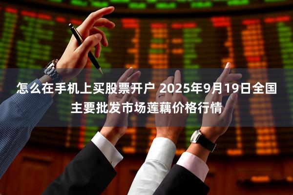 怎么在手机上买股票开户 2025年9月19日全国主要批发市场莲藕价格行情