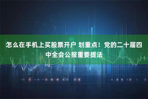 怎么在手机上买股票开户 划重点！党的二十届四中全会公报重要提法