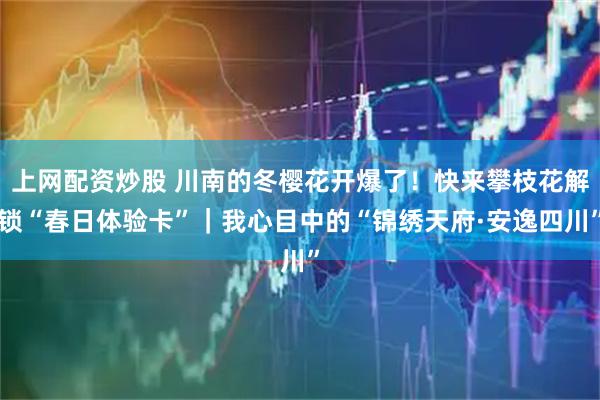 上网配资炒股 川南的冬樱花开爆了！快来攀枝花解锁“春日体验卡”｜我心目中的“锦绣天府·安逸四川”